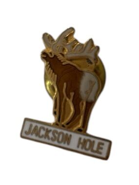 Jackson Hole Pin